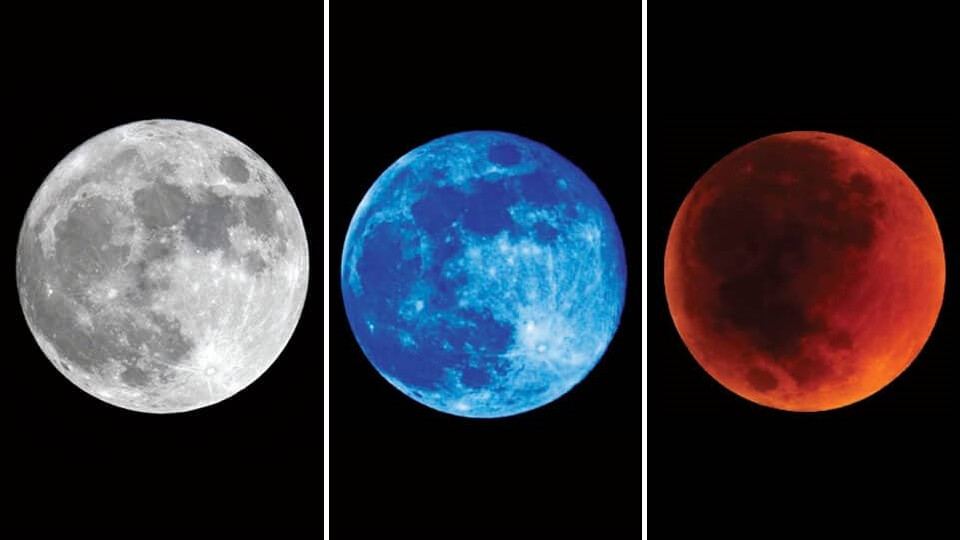 Gök girdi Kızıl çıktı